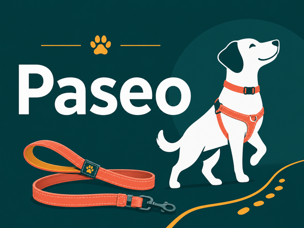 Paseo para perros