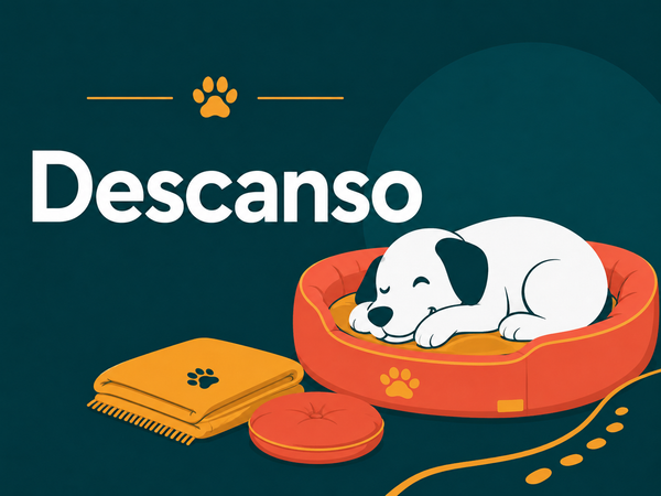 Descanso para perros