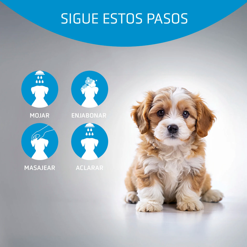ARTERO Baby Champú para Cachorros y Pieles Sensibles 300 ml
