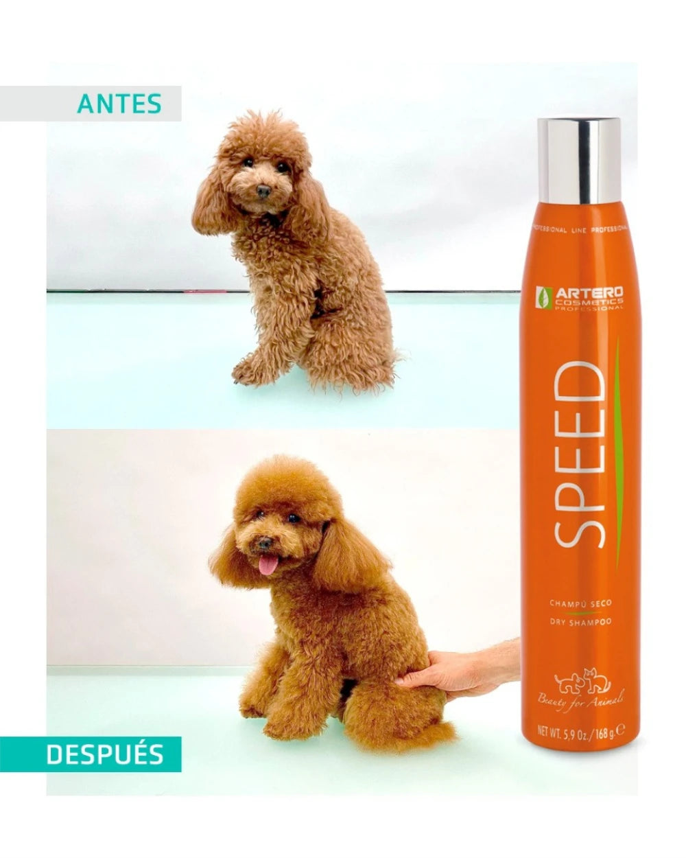 ARTERO Speed Dry – Champú en seco para perros y gatos 300 ml