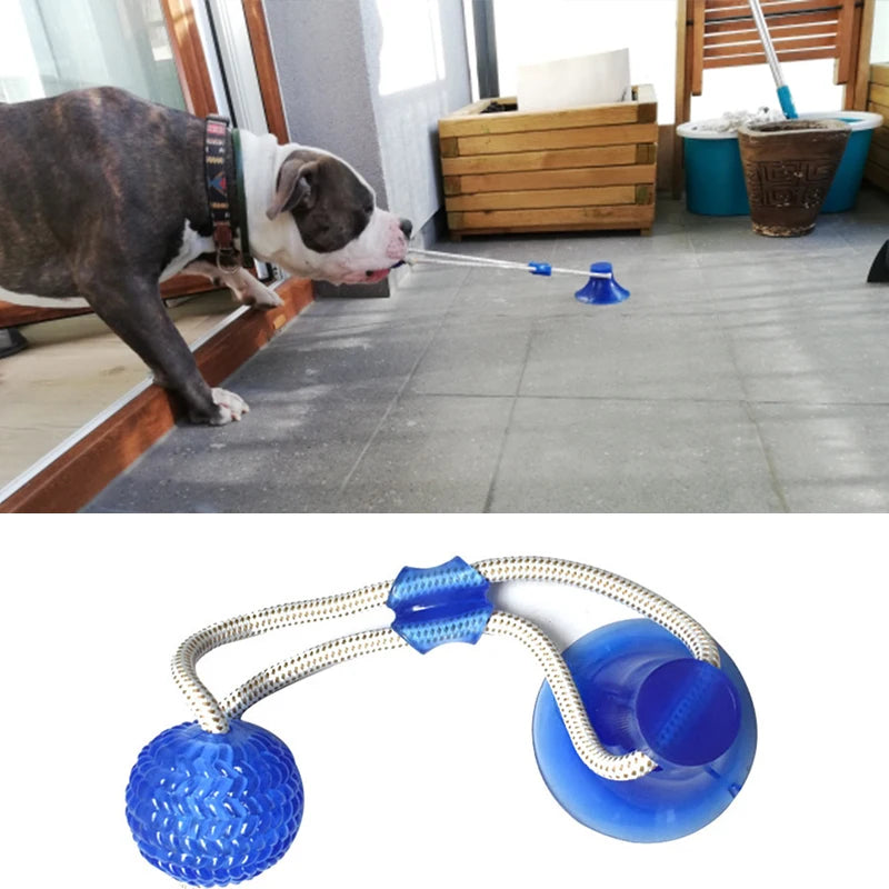 Juguete Interactivo para Perros con Ventosa y Pelota Mordedora