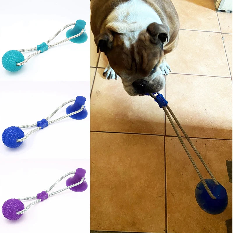 Juguete Interactivo para Perros con Ventosa y Pelota Mordedora