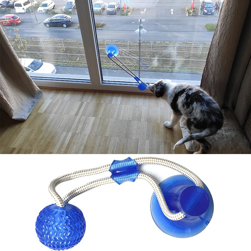 Juguete Interactivo para Perros con Ventosa y Pelota Mordedora