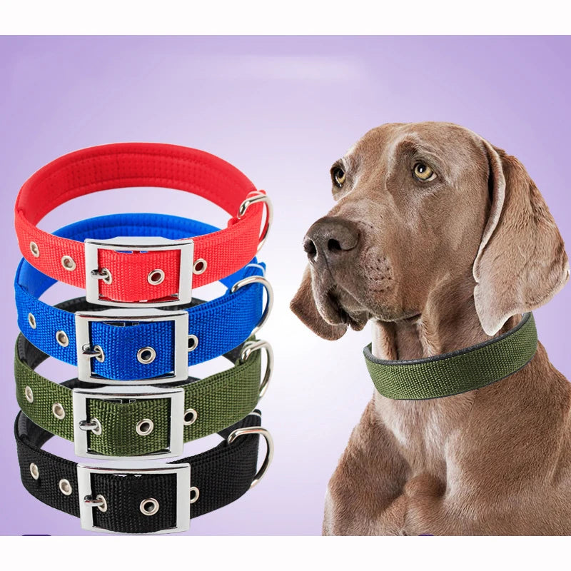 Collar de Nylon para Perros Resistente y Ajustable