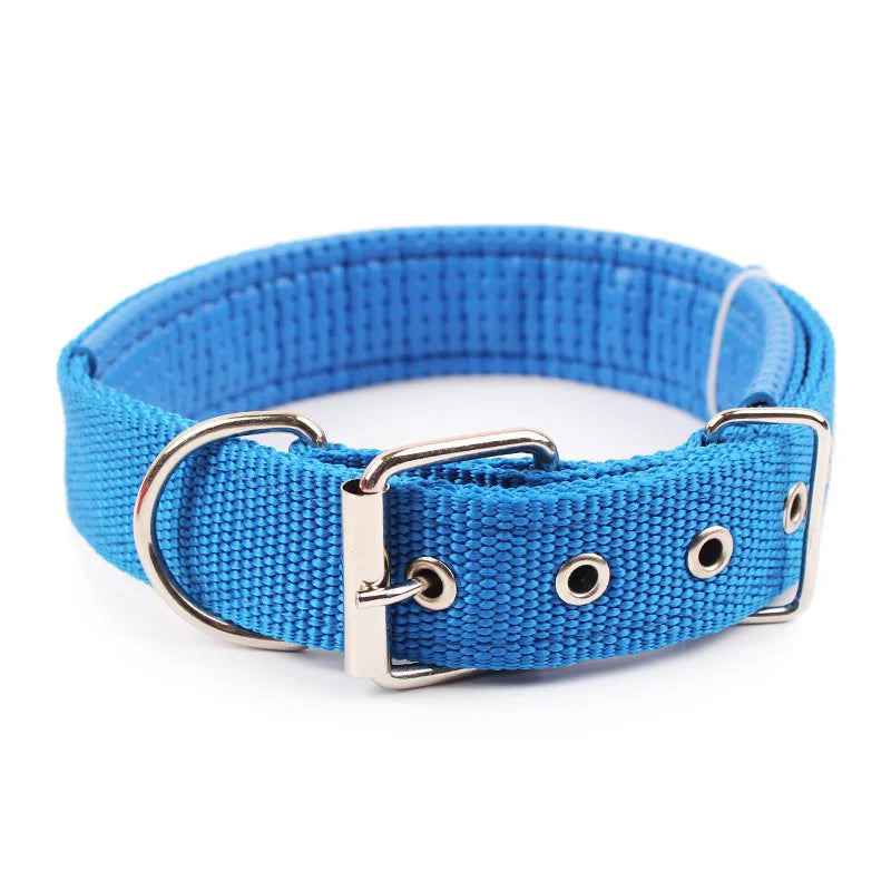 Collar de Nylon para Perros Resistente y Ajustable