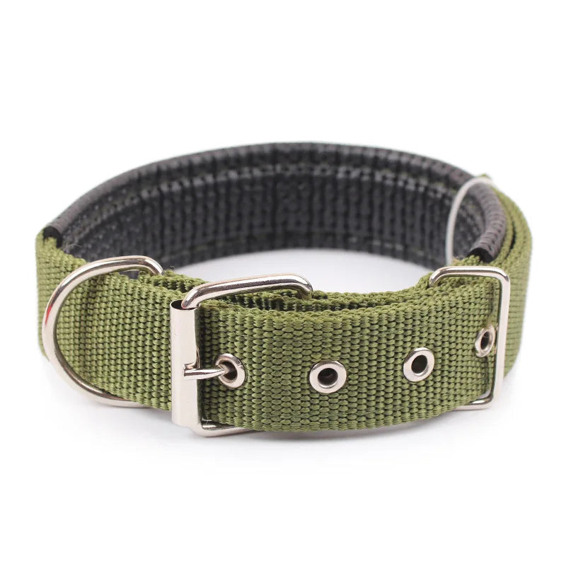Collar de Nylon para Perros Resistente y Ajustable