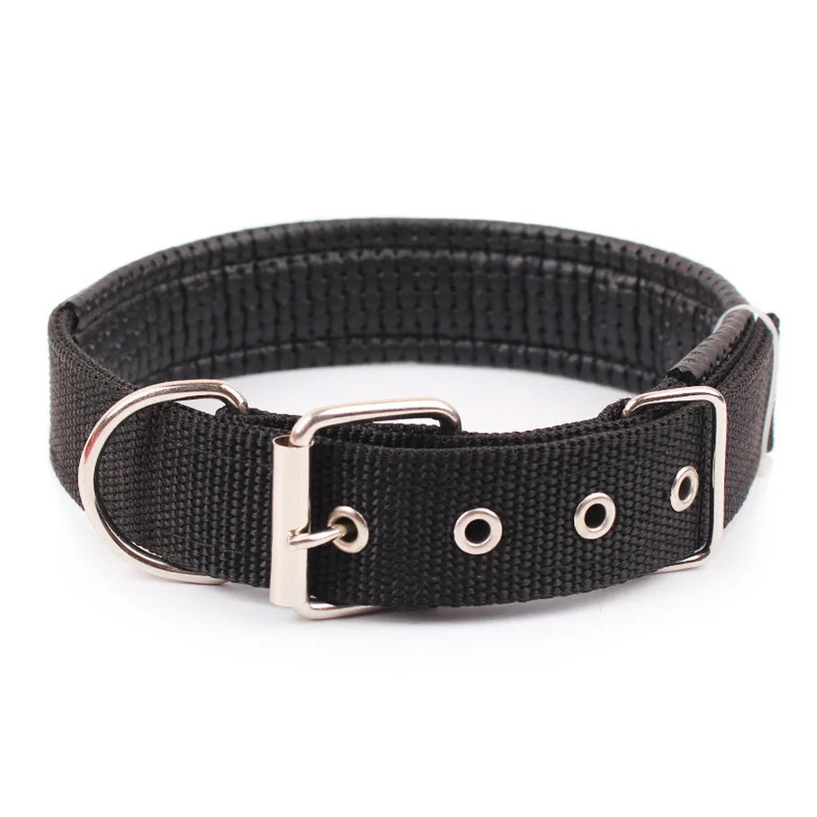 Collar de Nylon para Perros Resistente y Ajustable