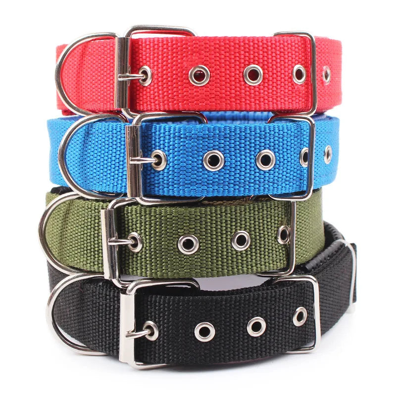 Collar de Nylon para Perros Resistente y Ajustable