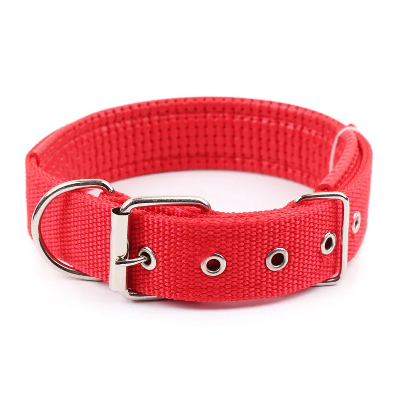 Collar de Nylon para Perros Resistente y Ajustable