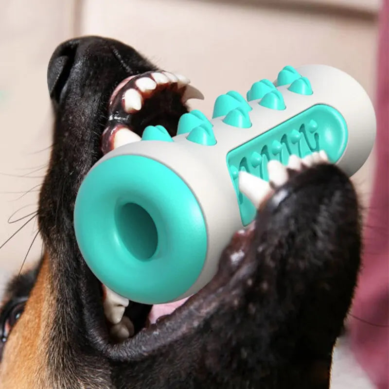 Mordedor Dental para Perros Juguete de Limpieza Dental Resistente