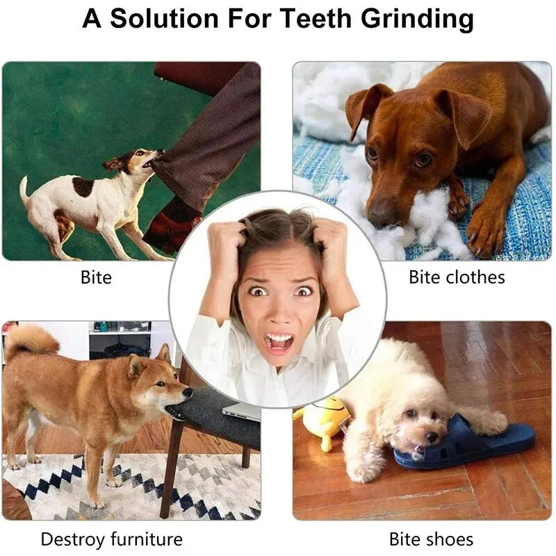 Pelota Interactiva para Perros con Dispensador de Snacks y Mordedor Dental