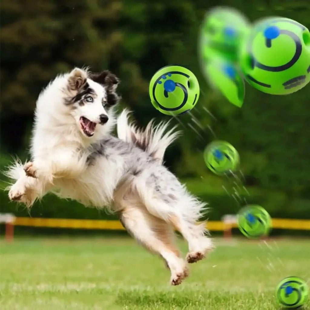 Pelota Interactiva Sonora para Perros Juguete de Estimulación Mental y Juego