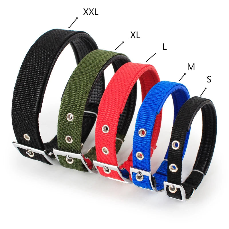 Collar de Nylon para Perros Resistente y Ajustable