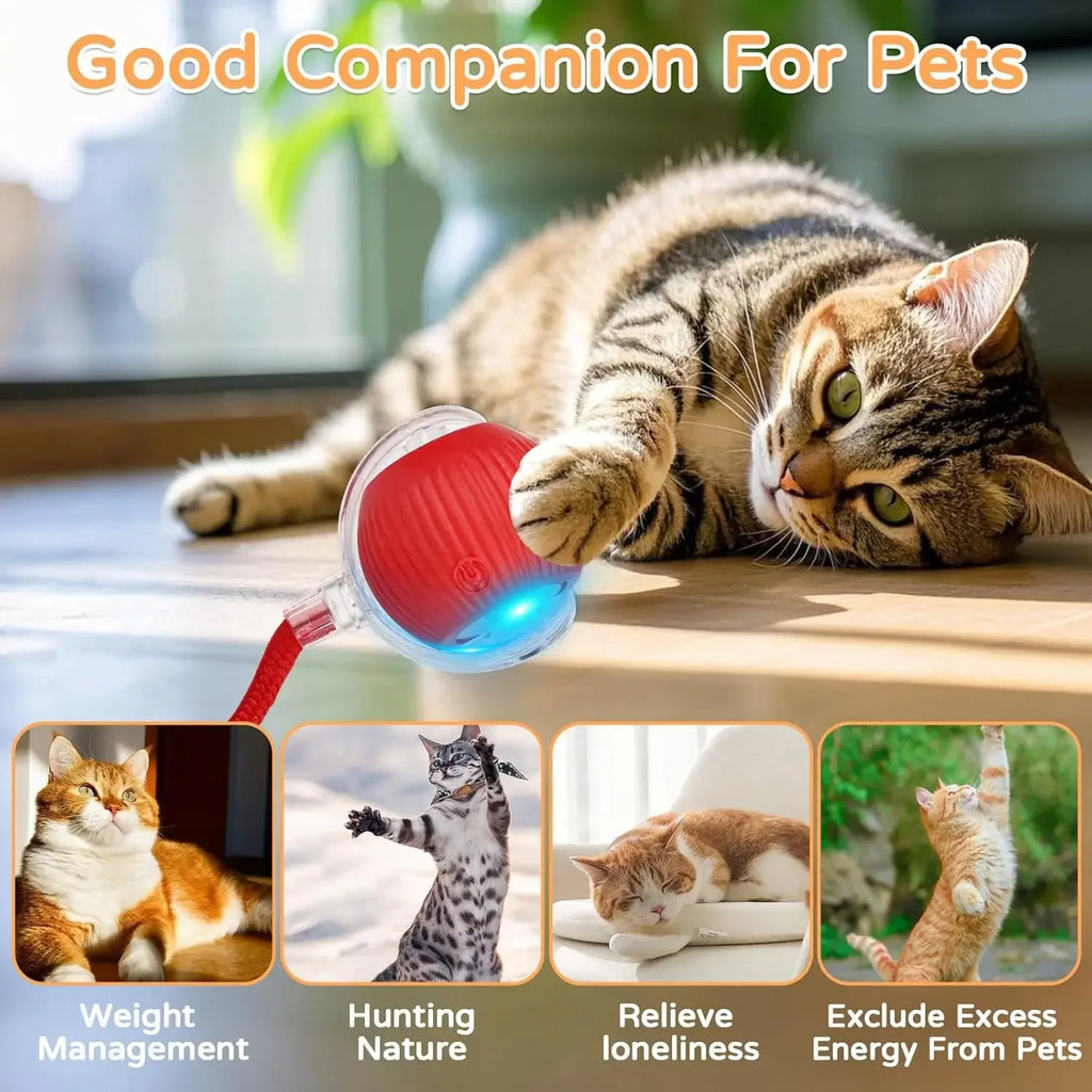 Pelota Interactiva Inteligente para Perros y Gatos con Movimiento Automático