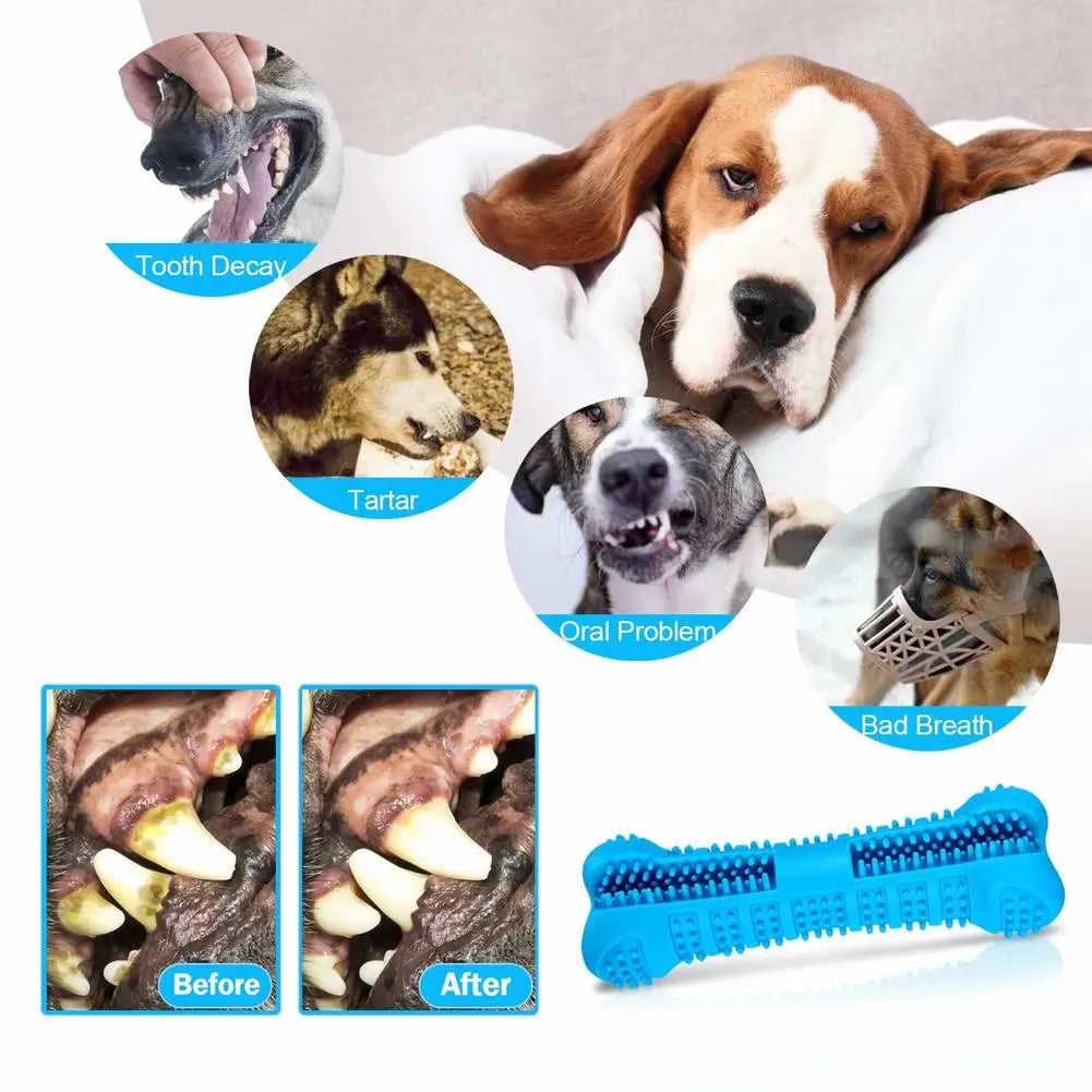 Cepillo dental de silicona limpia dientes con dispensador de pasta para perros