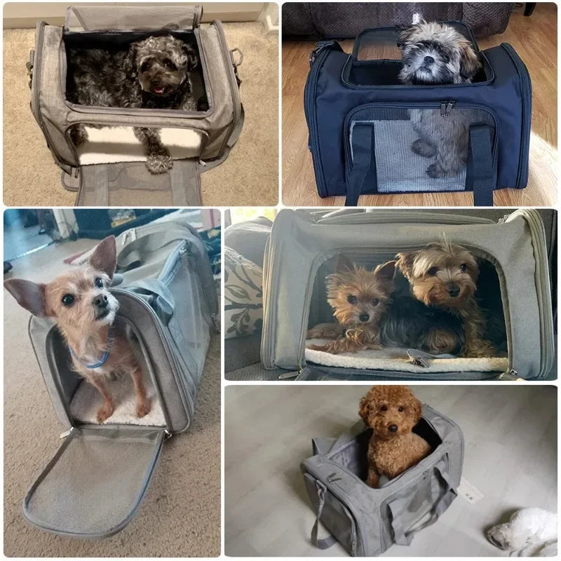 Bolso transportín para perros y gatos de viaje acolchado con malla transpirable y aprobado para avión