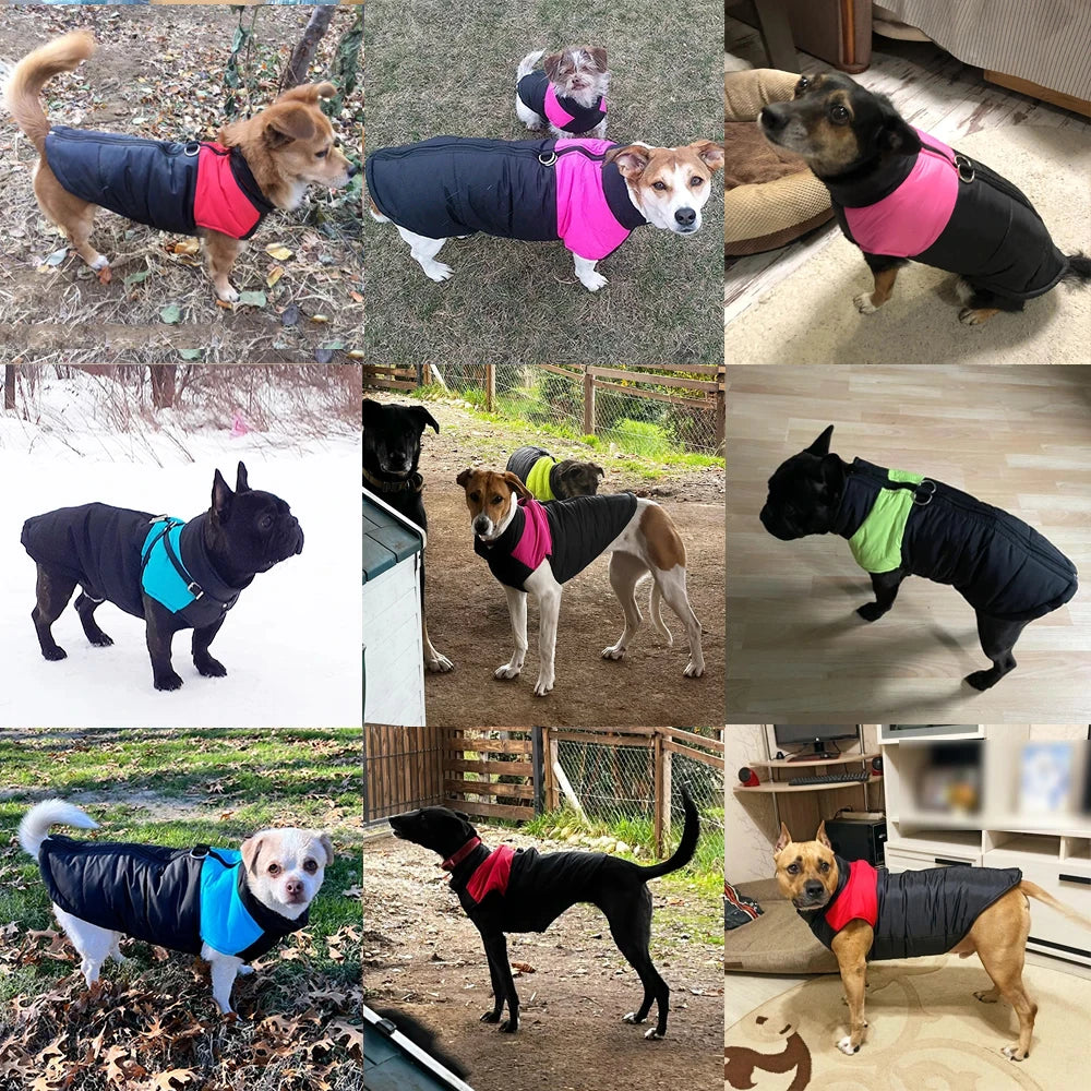 HOLAPET Abrigo Impermeable para Perros con Forro Térmico y Anilla para Correa