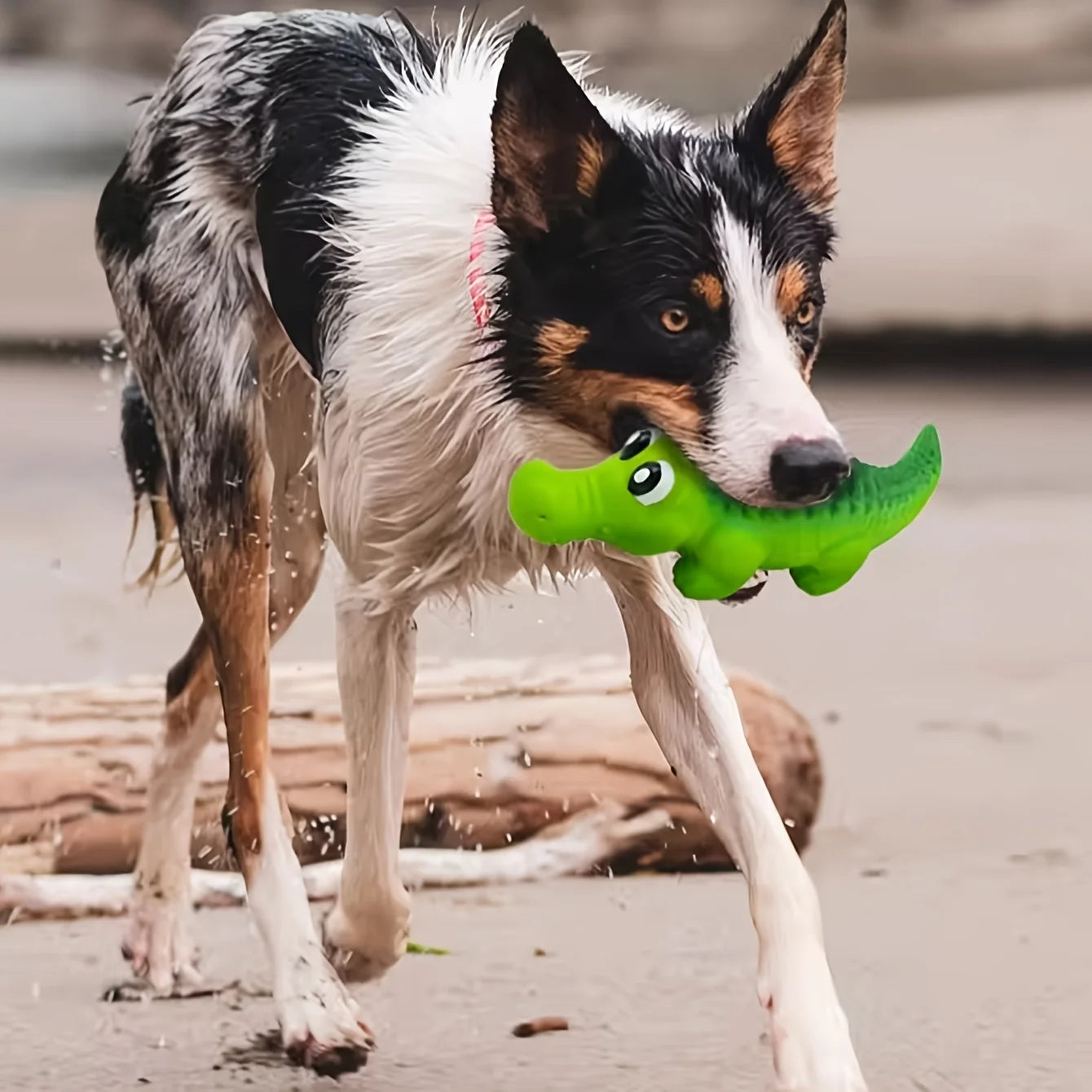 Juguete Cocodrilo para Perros de Goma Resistente con Sonido