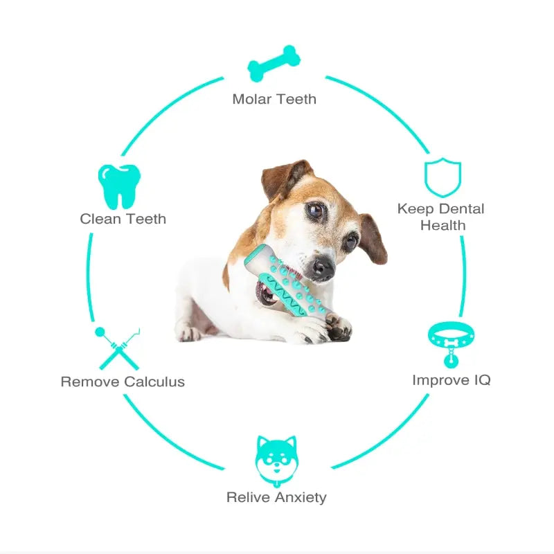 Mordedor Dental para Perros Juguete de Limpieza Dental Resistente