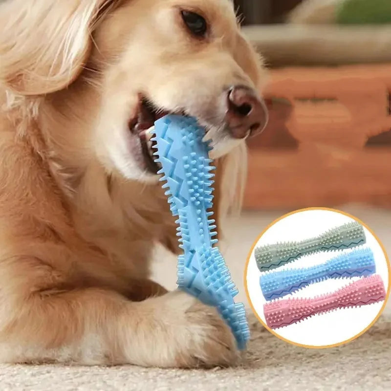 Juguete Mordedor para Perros y Gatos Resistente y Rellenable para Limpieza Dental y Entretenimiento