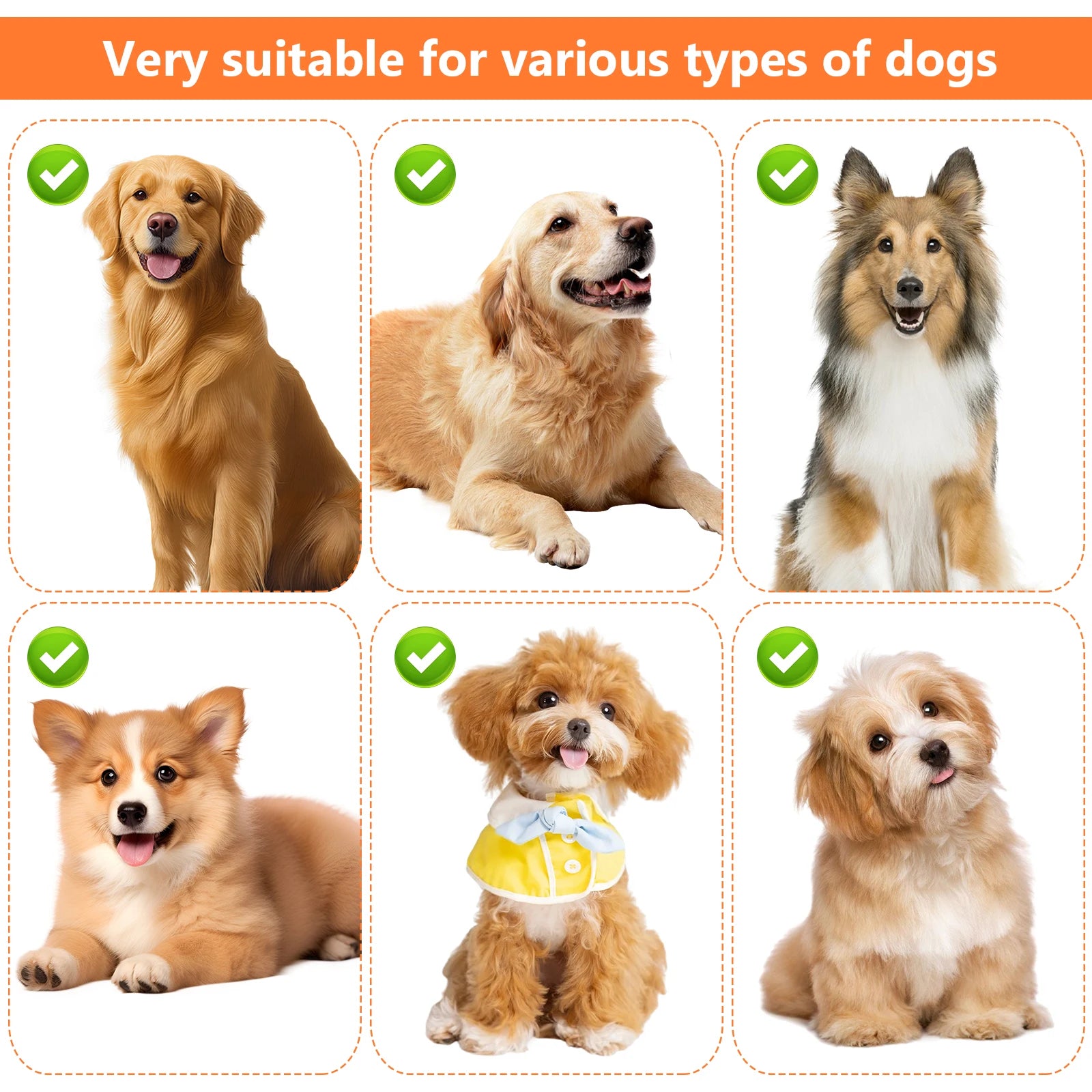 Set de 6 Cuerdas Mordedoras para Perros Juguetes de Limpieza Dental