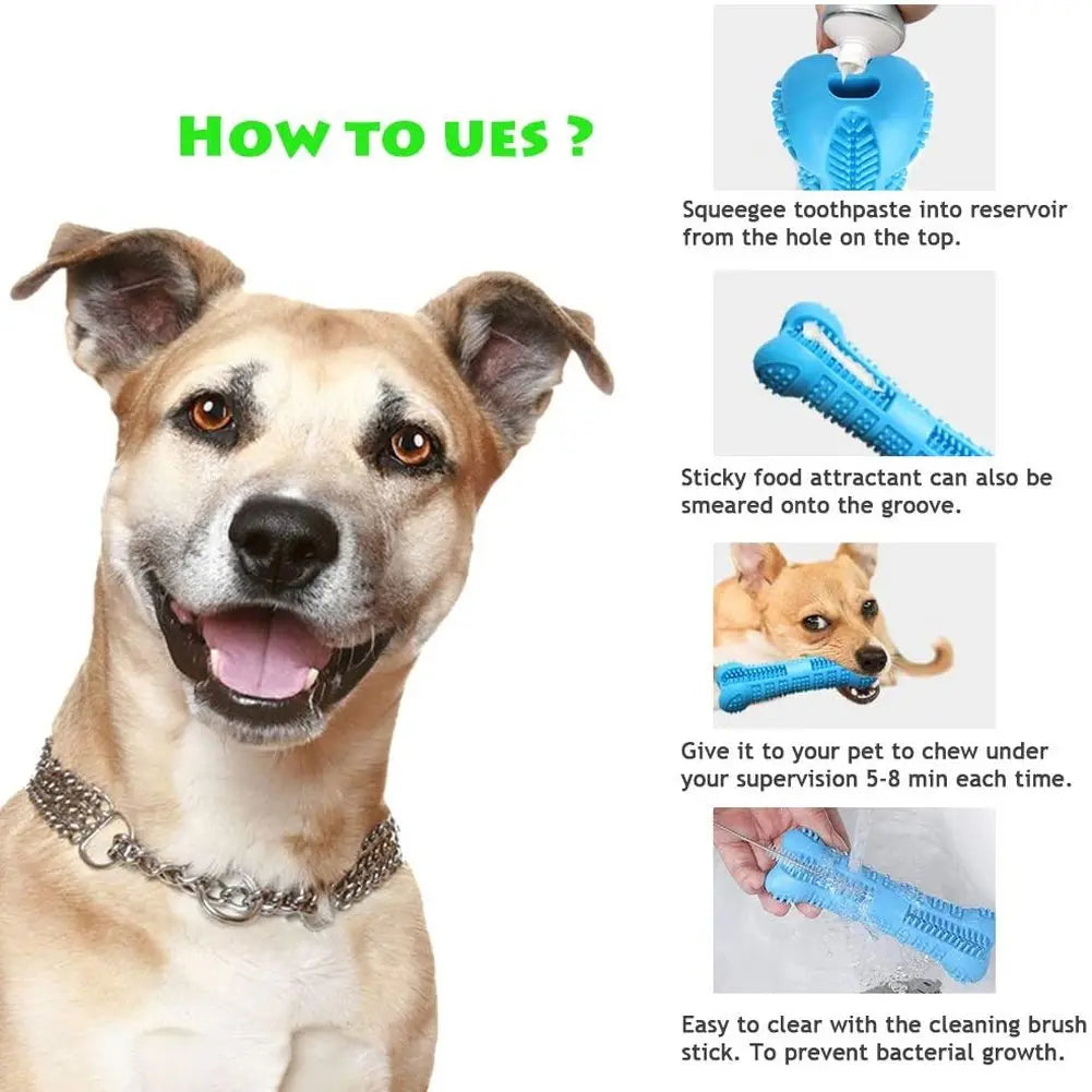 Cepillo dental de silicona limpia dientes con dispensador de pasta para perros