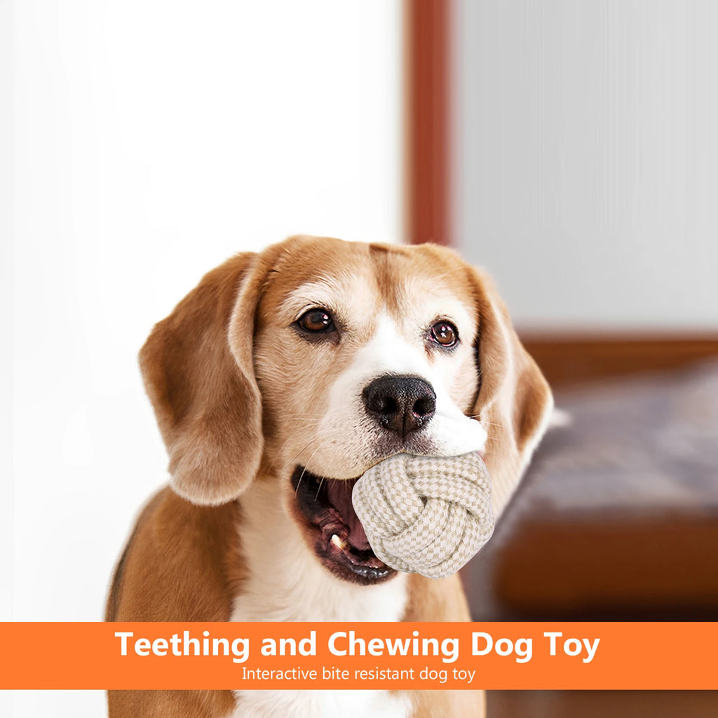 Set de 6 Cuerdas Mordedoras para Perros Juguetes de Limpieza Dental