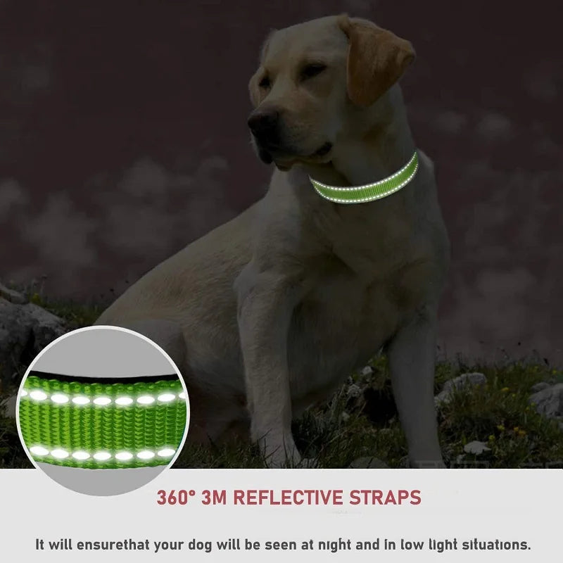 Collar Choker Ajustable para Perros Pequeños y Cachorros