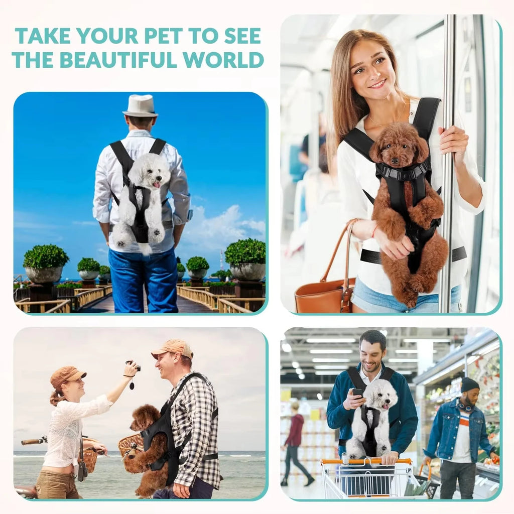 Mochila Transportín para Perros Pequeños y Medianos Ajustable y Transpirable