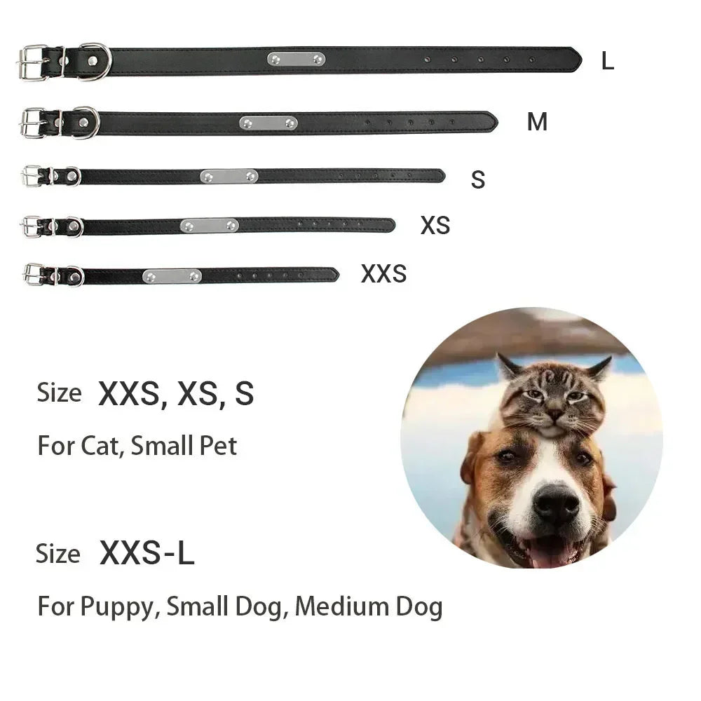 Collar Personalizado Antipérdida para Perros y Gatos con Placa Grabada