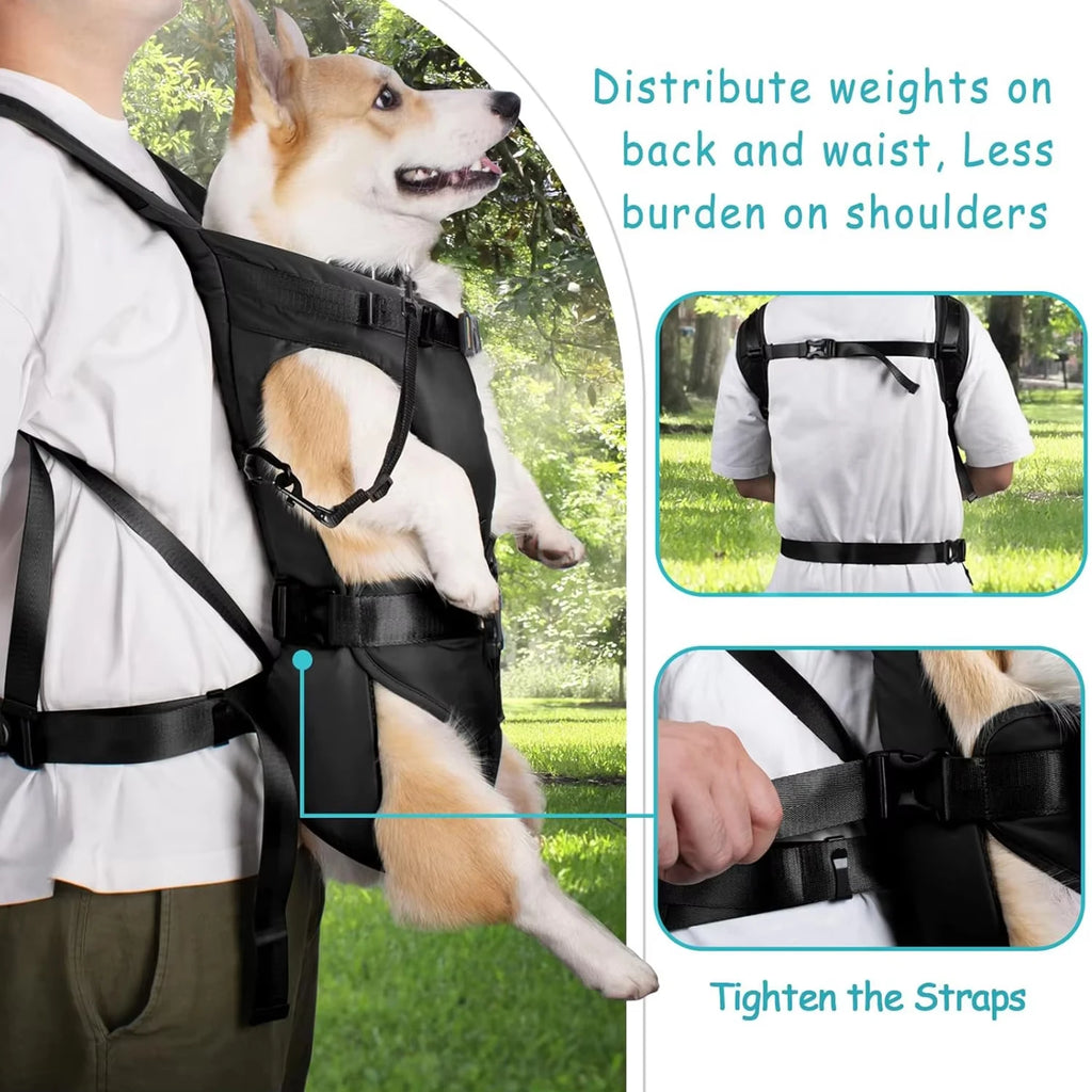 Mochila Transportín para Perros Pequeños y Medianos Ajustable y Transpirable
