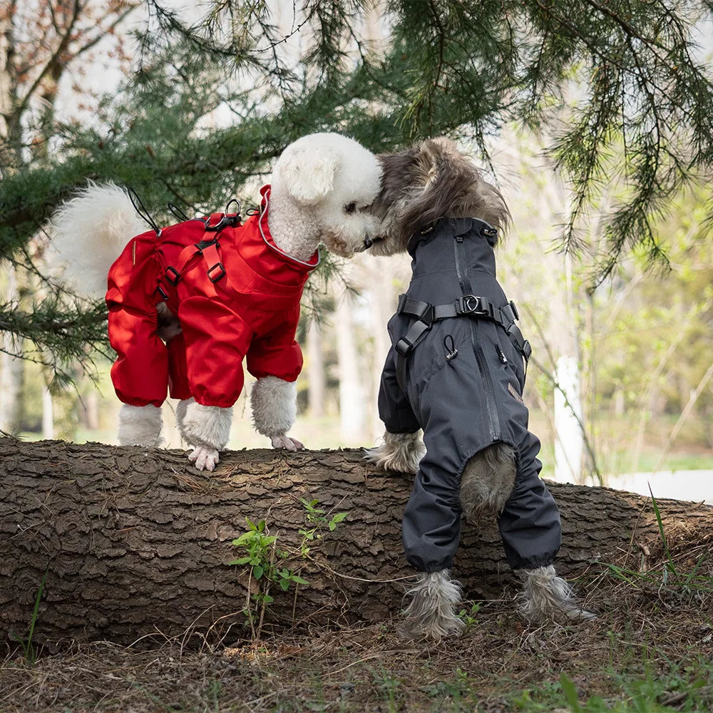 Impermeable para Perros con Arnés Integrado y Bandas Reflectantes