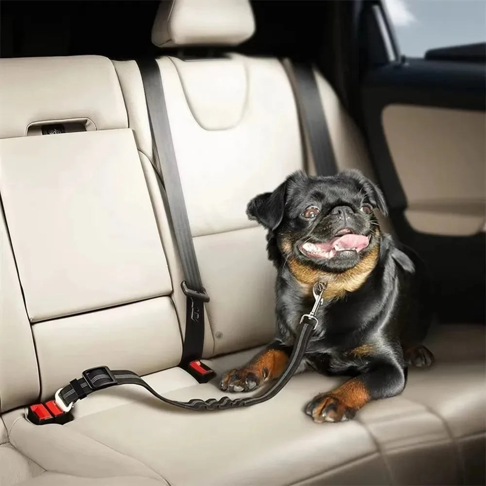 Cinturón de Seguridad Reflectante para Perros Ajustable y Elástico para Coche