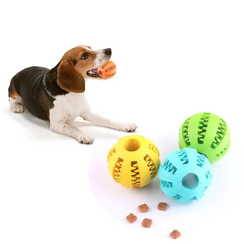 Pelota Interactiva para Perros con Dispensador de Snacks y Mordedor Dental