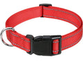 Collar Choker Ajustable para Perros Pequeños y Cachorros