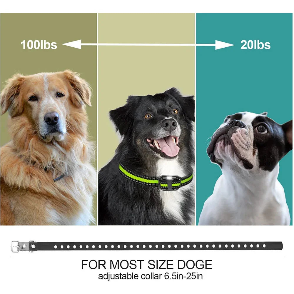 Collar de Adiestramiento de Vibración para Perros con Control Remoto 800m