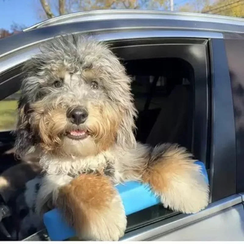 Reposacabezas para Ventana de Coche para Perros Acolchado y Ajustable