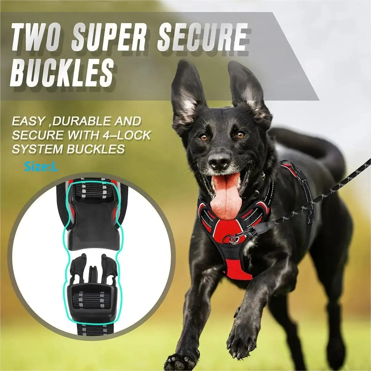 Arnés para perros antitirones con correa