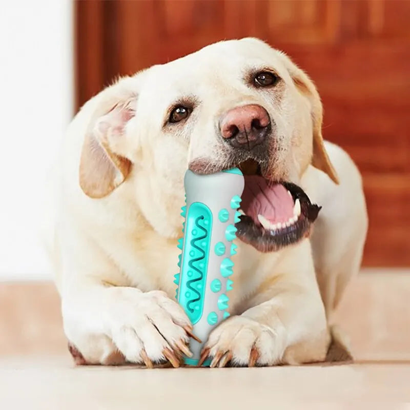 Mordedor Dental para Perros Juguete de Limpieza Dental Resistente