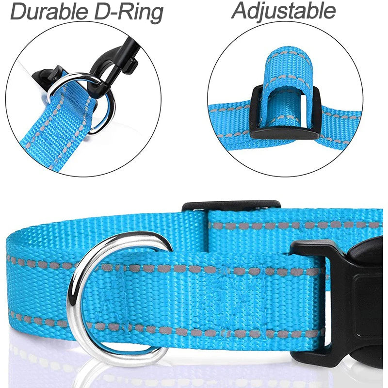 Collar Choker Ajustable para Perros Pequeños y Cachorros