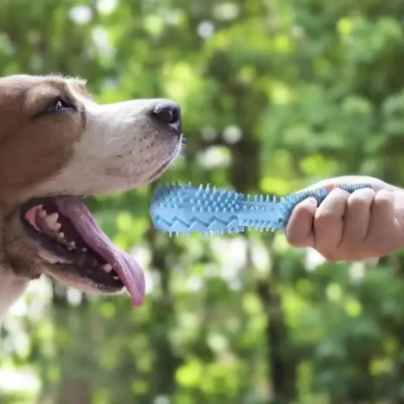 Juguete Mordedor para Perros y Gatos Resistente y Rellenable para Limpieza Dental y Entretenimiento