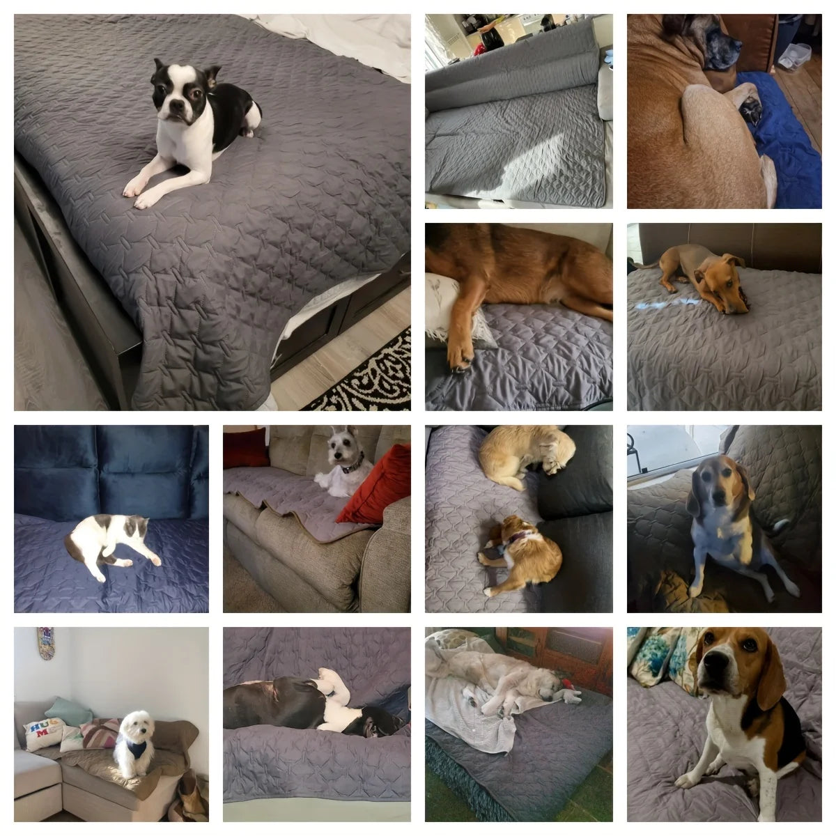 Manta impermeable para perros y protector de sofá y cama reversible