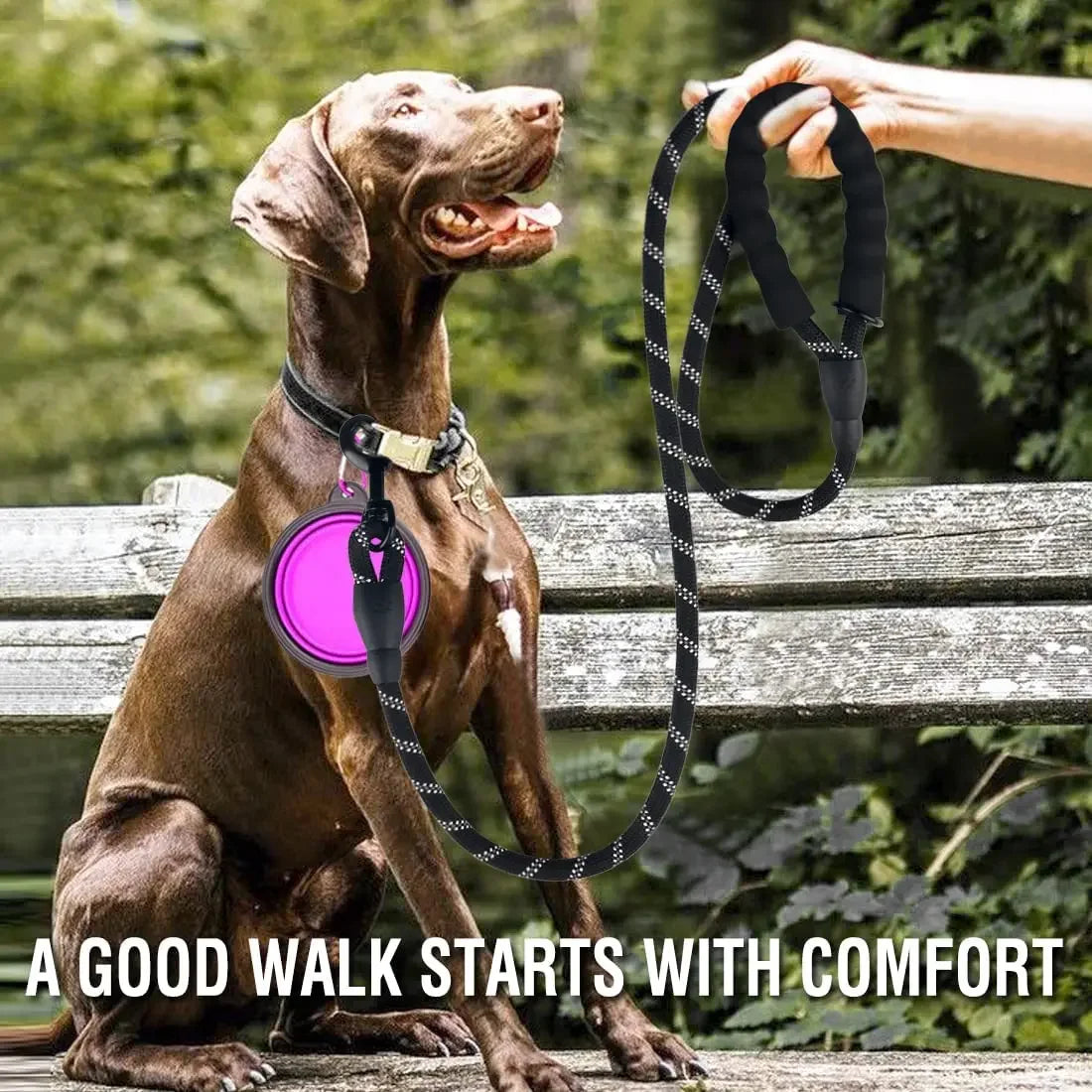 Correa Resistente para Perros Reflectante Cómoda y Segura